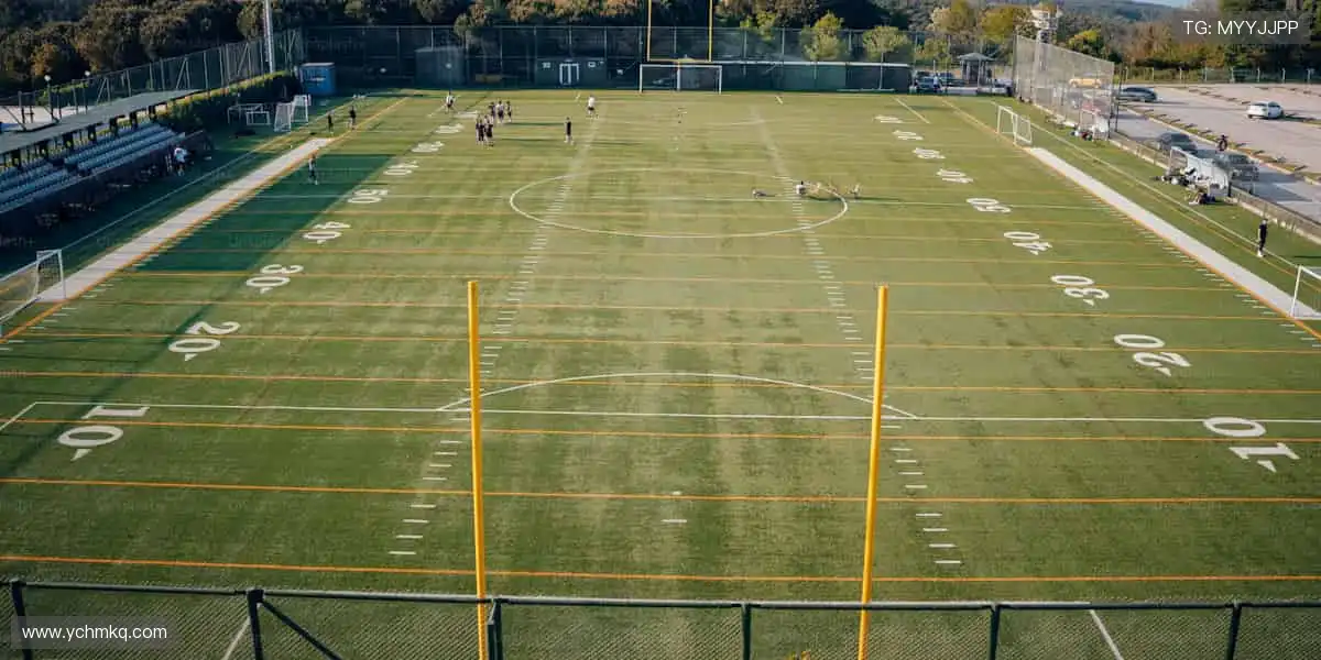 全球直播,零距离狂欢🌍