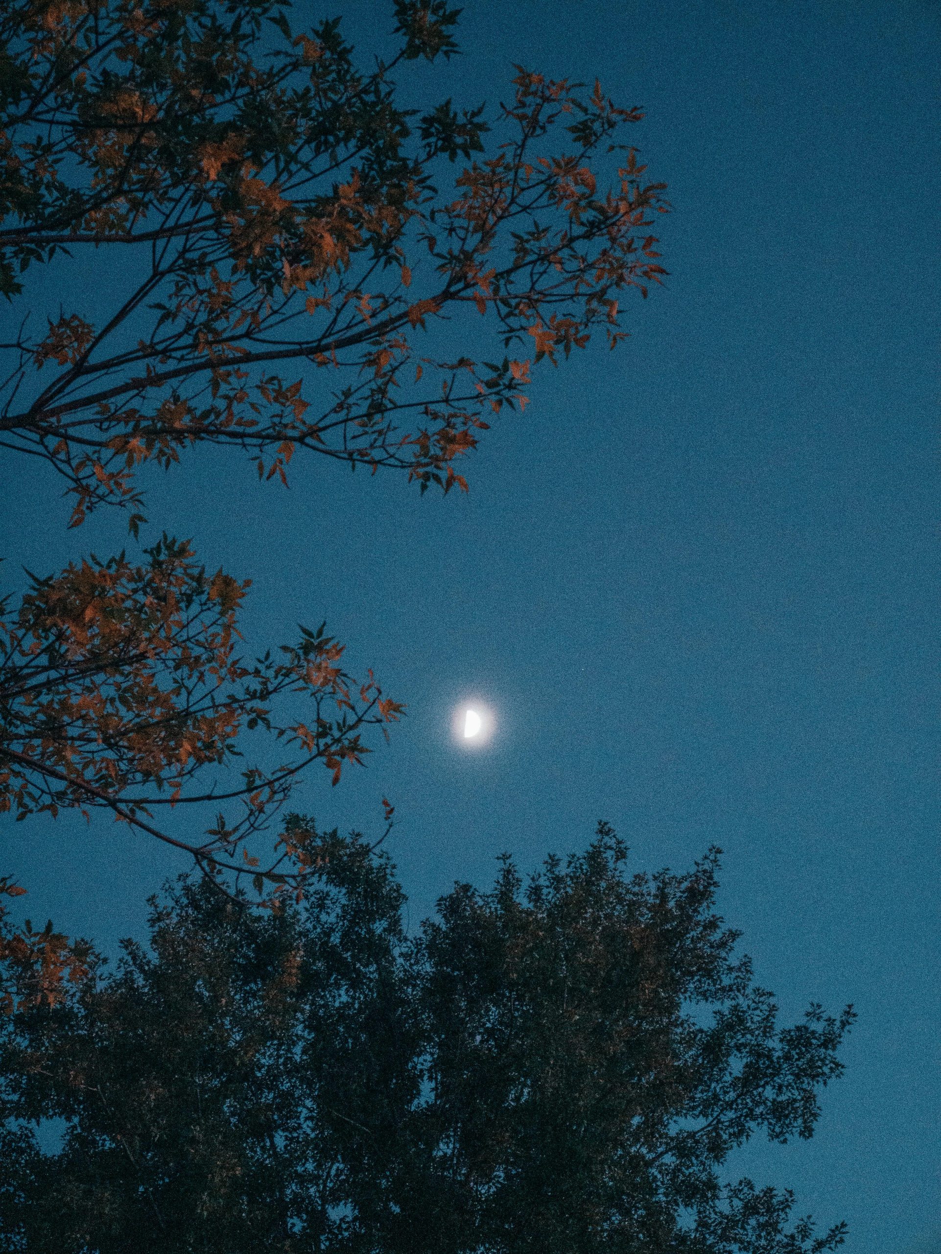 英超争冠悬念再起：曼城与阿森纳关键战役前瞻